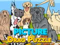 თამაშის Picture Drag Puzzle