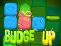 თამაშის Budge Up