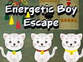 თამაშის Energetic Boy Escape