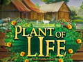 თამაშის Plant of Life
