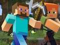 თამაშის Minecraft Hidden Items