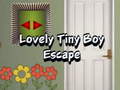 თამაშის Lovely Tiny Boy Escape