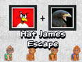 თამაშის Hat James Escape