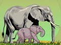 თამაშის Wild Animals and Their Babies