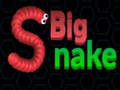 თამაშის Big Snake