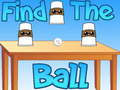 თამაშის Find The Ball