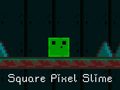 თამაშის Square Pixel Slime