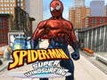 თამაშის Spiderman Skateboarding