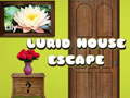 თამაშის Lurid House Escape