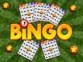 თამაშის Bingo Revealed