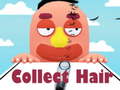თამაშის Collect Hair