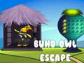 თამაშის Buho Owl Escape