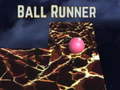 თამაშის Ball runner