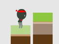 თამაშის Ninja the Jump