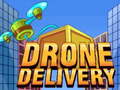 თამაშის Drone Delivery