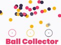 თამაშის Circle Ball Collector