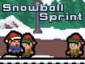 თამაშის Snowball Sprint