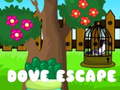 თამაშის Dove Escape