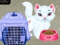 თამაშის Baby Taylor Pet Care