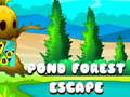 თამაშის Pond Forest Escape