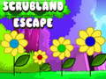 თამაშის Scrubland Escape