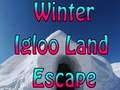 თამაშის Winter Igloo Land Escape 