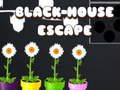 თამაშის Black House Escape