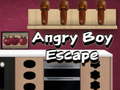თამაშის Angry Boy Escape
