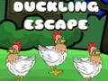 თამაშის Duckling Escape