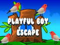 თამაშის Playful Boy Escape