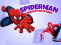 თამაშის Spiderman Memory Matching