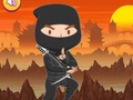 თამაშის Trained Ninja Puzzle