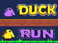თამაშის Duck Run