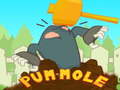 თამაშის Pum-Mole