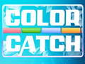 თამაშის Color Catch