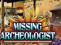 თამაშის Missing Archeologist