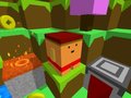 თამაშის Blocky Rush Downhill