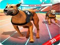 თამაშის Crazy Dog Race