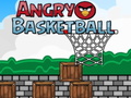 თამაშის Angry Basketball