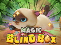 თამაშის Magic Blind Box