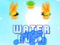 თამაშის Water-Rush