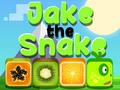 თამაშის Jake The Snake