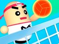 თამაშის 3D Amazing VolleyBall