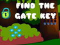 თამაშის Find the Gate Key