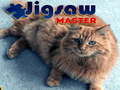 თამაშის Jigsaw Master 