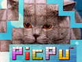 თამაშის PicPu Cat 