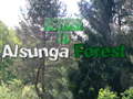 თამაშის Return To Alsunga Forest