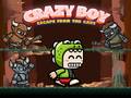 თამაშის Crazy Boy Escape From The Cave