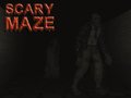 თამაშის Scary Maze