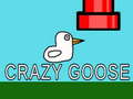 თამაშის Crazy Goose